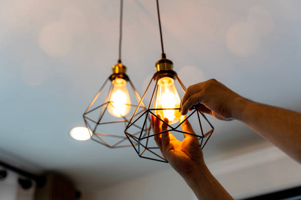 Best Local Electrician Companies  in Flagtown, NJ